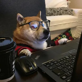 That_Cat