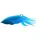 thecuttlefish