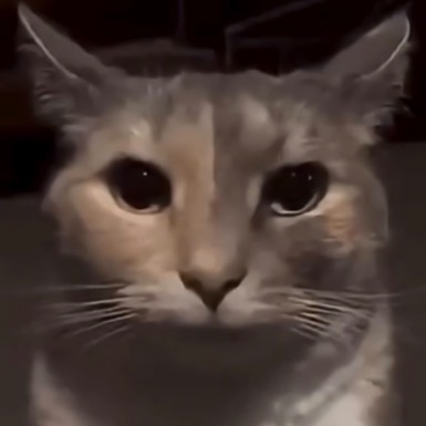 😨