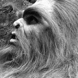 thesasquatch