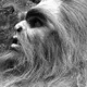 thesasquatch