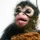 gyat monkey