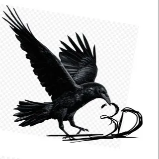 Crow 3D