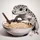 gecko
