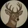 no3y3deer