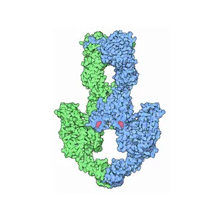 dna-topoisomerase