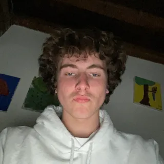 DriesTjardus