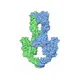 dna-topoisomerase