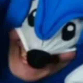 sanicspeedrun