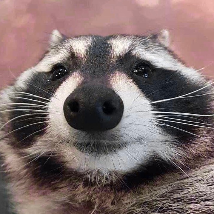 spookibaby
