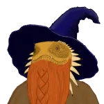 The Wizard Lizard