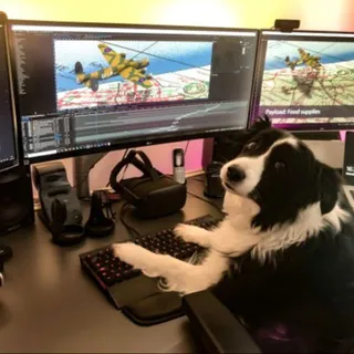 siliconpixel