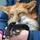 SillyFox