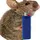 MouseLighter