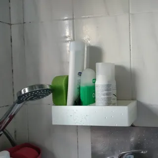 DeNOS