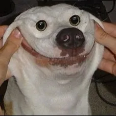 dexterpes22