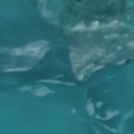 blue.lagoon