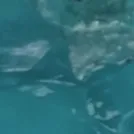 blue.lagoon
