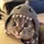 Kadah