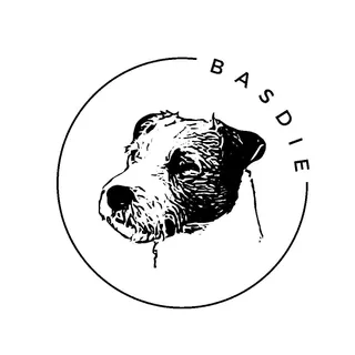Basdie 3D
