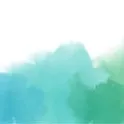 Tartarugar
