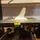 3D Maker Kid