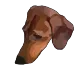 BertoLaDK