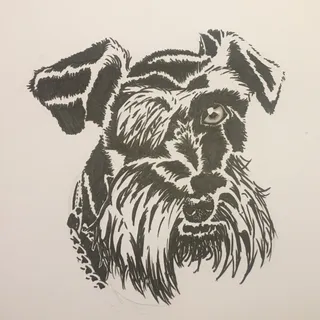 WalterInBlack