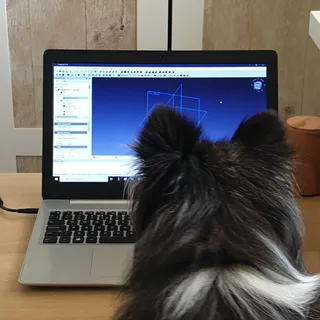 Designed By Sheltie