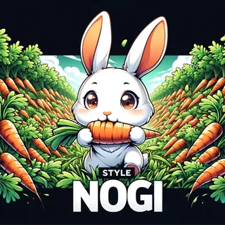 STYLE NOGI