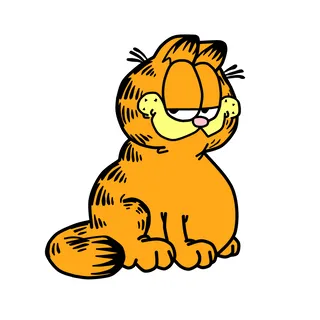 TypischerKater