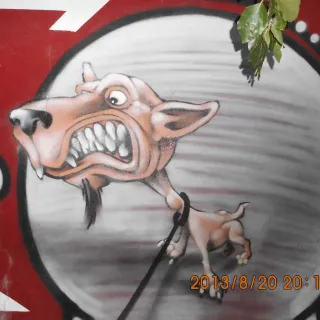 doga
