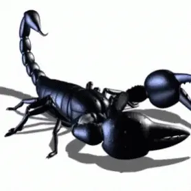 nickscorpion