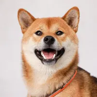 __lb__