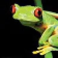 BoobFrog