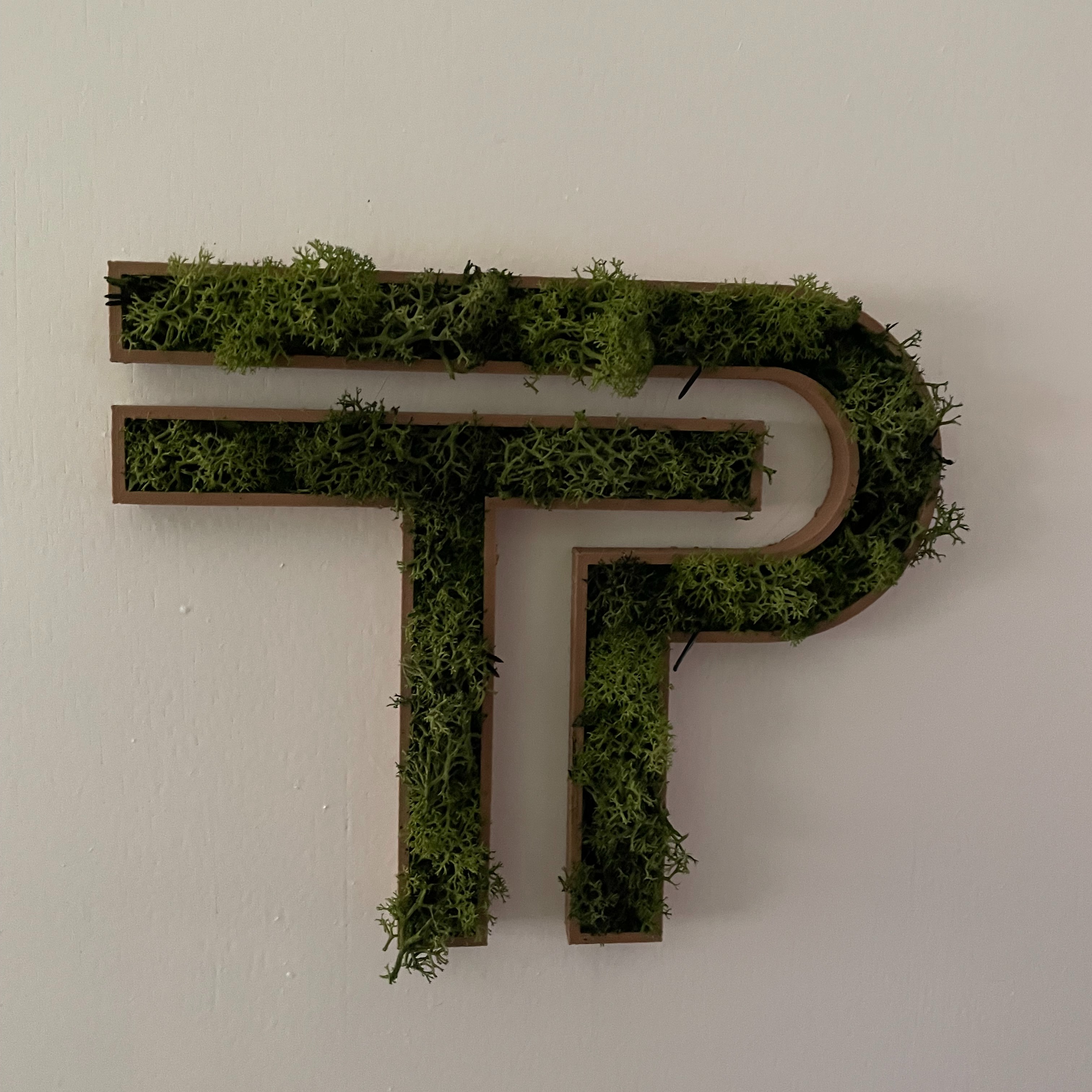 TPdesign