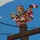 Mojo_the_Helper_Monkey