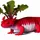 SalamanderRadish