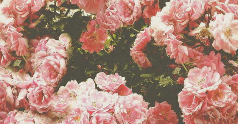 FreeFree Printables com