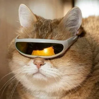 dasmikko