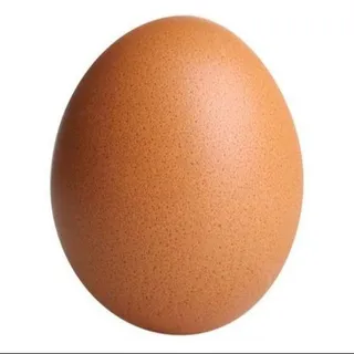 Egg