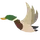 DuckPrints