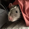 Jenny