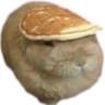 SLUNGUS