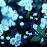 June