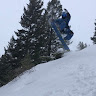 Lynx