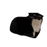 SlayingVR999