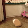 EsqieR