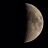 Coll_53