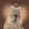 Capy Bara